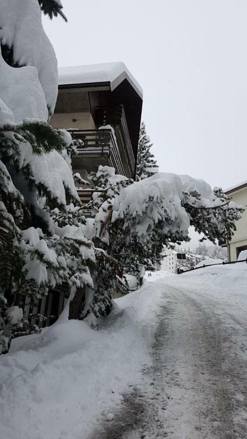 The Closest Location To The City Center And Chairlift Oulx Exteriér fotografie